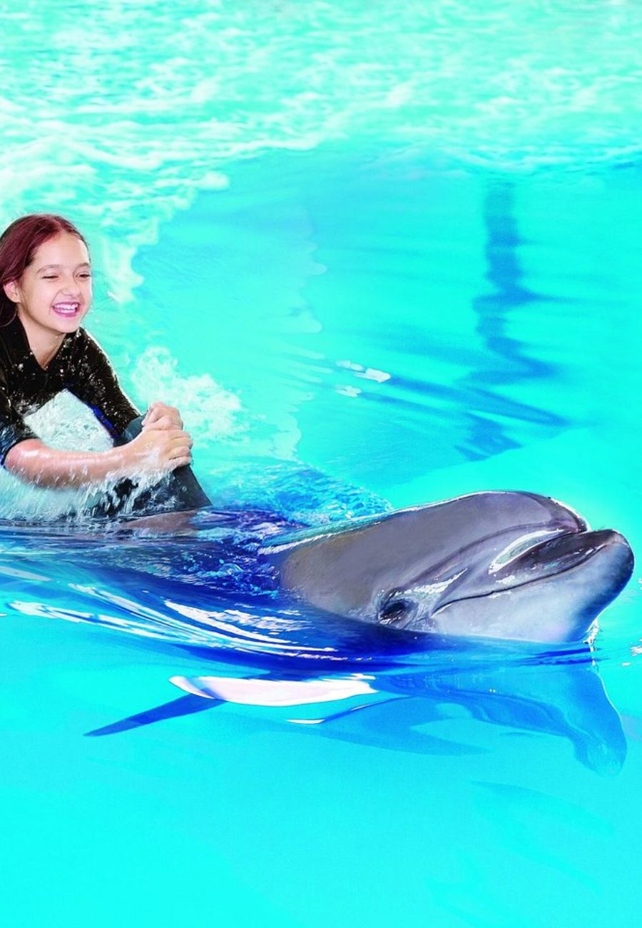 Dubai Dolphinarium