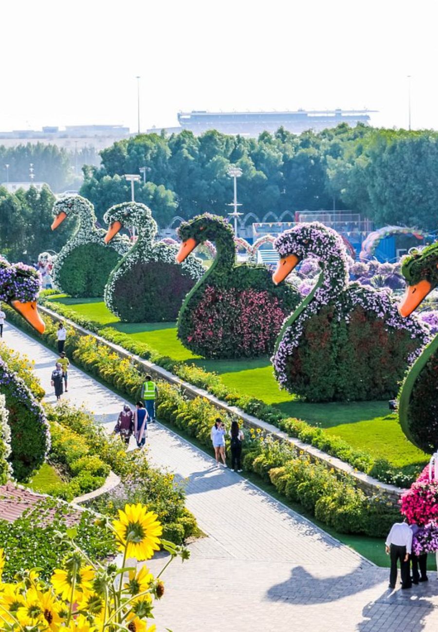 Miracle Garden